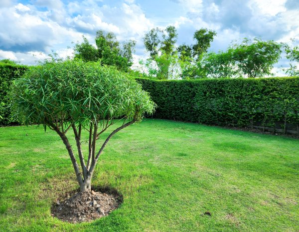 Création de jardin Maubeuge